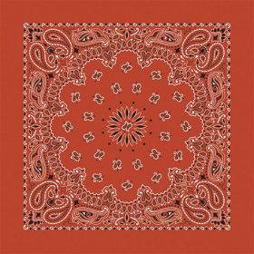*BANDANNA Paisley Terracotta 12pk