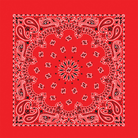 BANDANNA Paisley Red 12pk