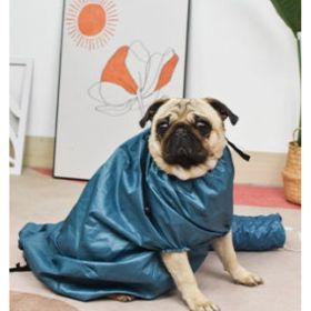 Automatic Drying Bag With Quick Drying Hair Dryer For Bathing (Option: L-Blue)
