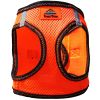 American River Top Stitch Dog Harness > Harness