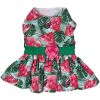 Juicy Watermelon Dog Dress with Matching Leash > Harness