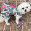 Juicy Watermelon Dog Dress with Matching Leash > Harness