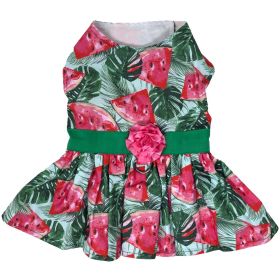 Juicy Watermelon Dog Dress with Matching Leash > Harness (size: medium)