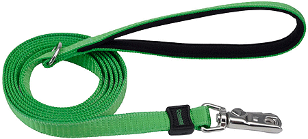 COASTAL Inspire Leash (Option: 1" x 6' Green)