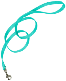 COASTAL Nylon Lead (Option: 6' x 5/8in Teal)