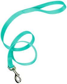 COASTAL Nylon Lead (Option: 6' x 1in Teal)
