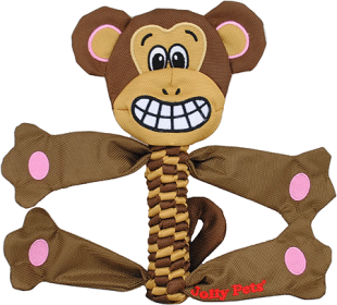 JOLLYPET FLathead (Option: Monkey S)