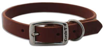 COASTAL Latigo Town Collar (Option: 1 x 24)