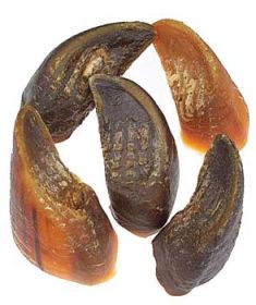 JONES Beef Hooves (Option: 5 lb)